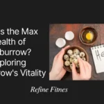 What's the Max Health of Faeburrow? Exploring Faeburrow's Vitality
