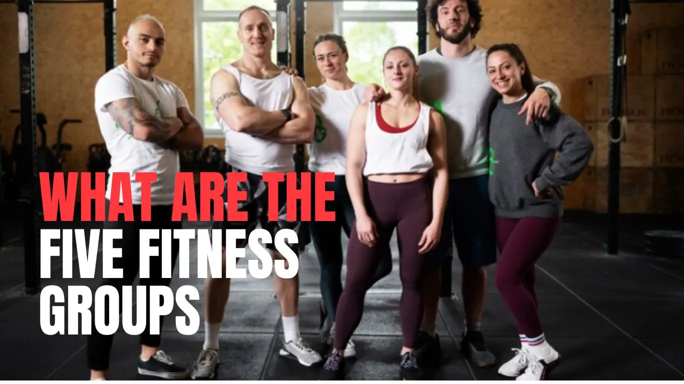What are the Five Fitness Groups?