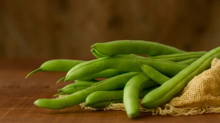 Green Peas Is Good for Men’s Health?