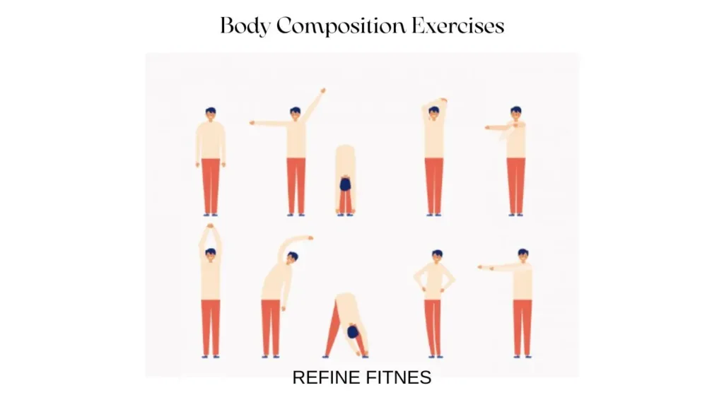 Body Composition Exercises: A Beginner's Guide to Getting Fit